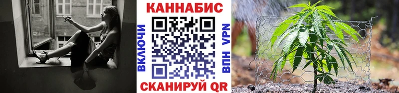 Где купить Жиздра MDMA Мефедрон Гашиш Cocaine