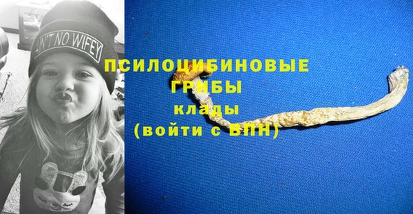 круглые Алексеевка