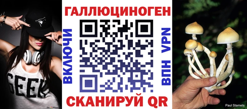 даркнет сайт  Жиздра  Галлюциногенные грибы Psilocybe 