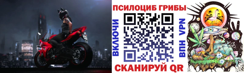 Псилоцибиновые грибы мухоморы Жиздра